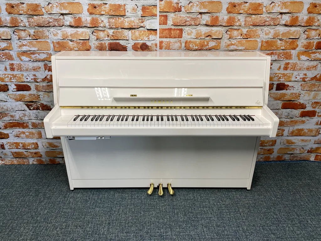 Yamaha B1 SC3 PWH